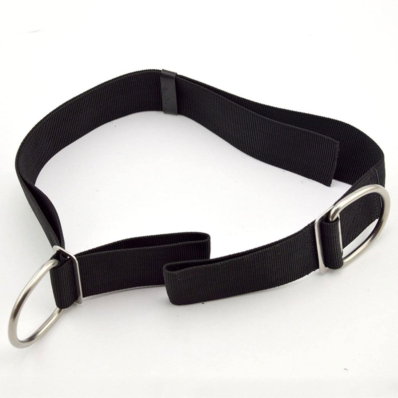 Correia de virilha de mergulho - Tech Gear Accessories avaliação e preço